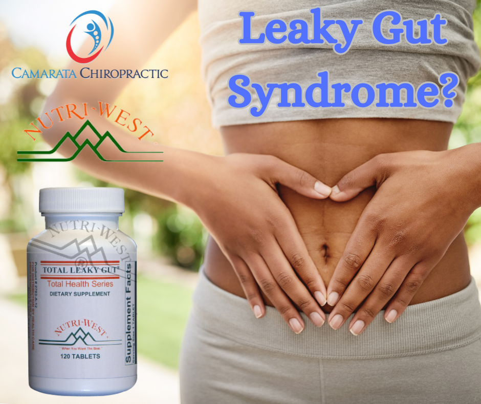 Understanding Leaky Gut Syndrome: A Comprehensive Guide by Camarata Chiropractic & Wellness