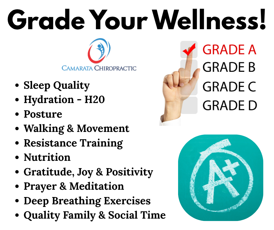 Wellness Wednesday! Grade Your Wellness: How Are You Really Doing?