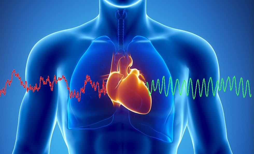 Chiropractic Improves Heart Rate Variability & Organ Health