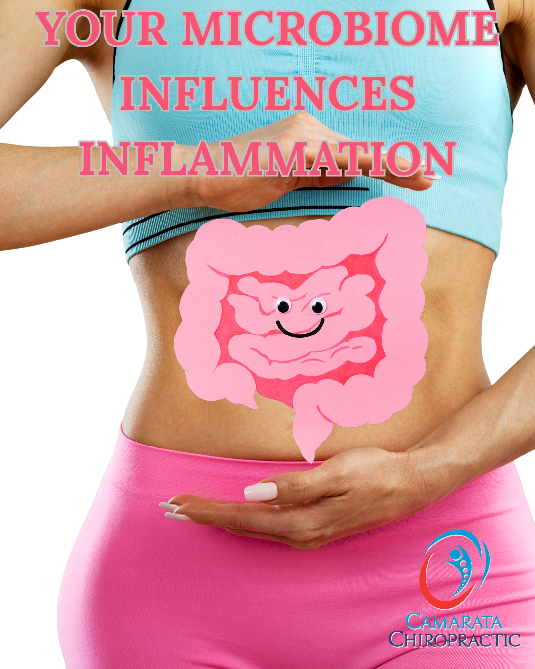 Your Microbiome Influences Inflammation