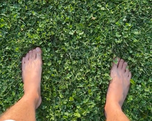 Connecting with Nature: Exploring Grounding and the Benefits of Whole Body Vibration