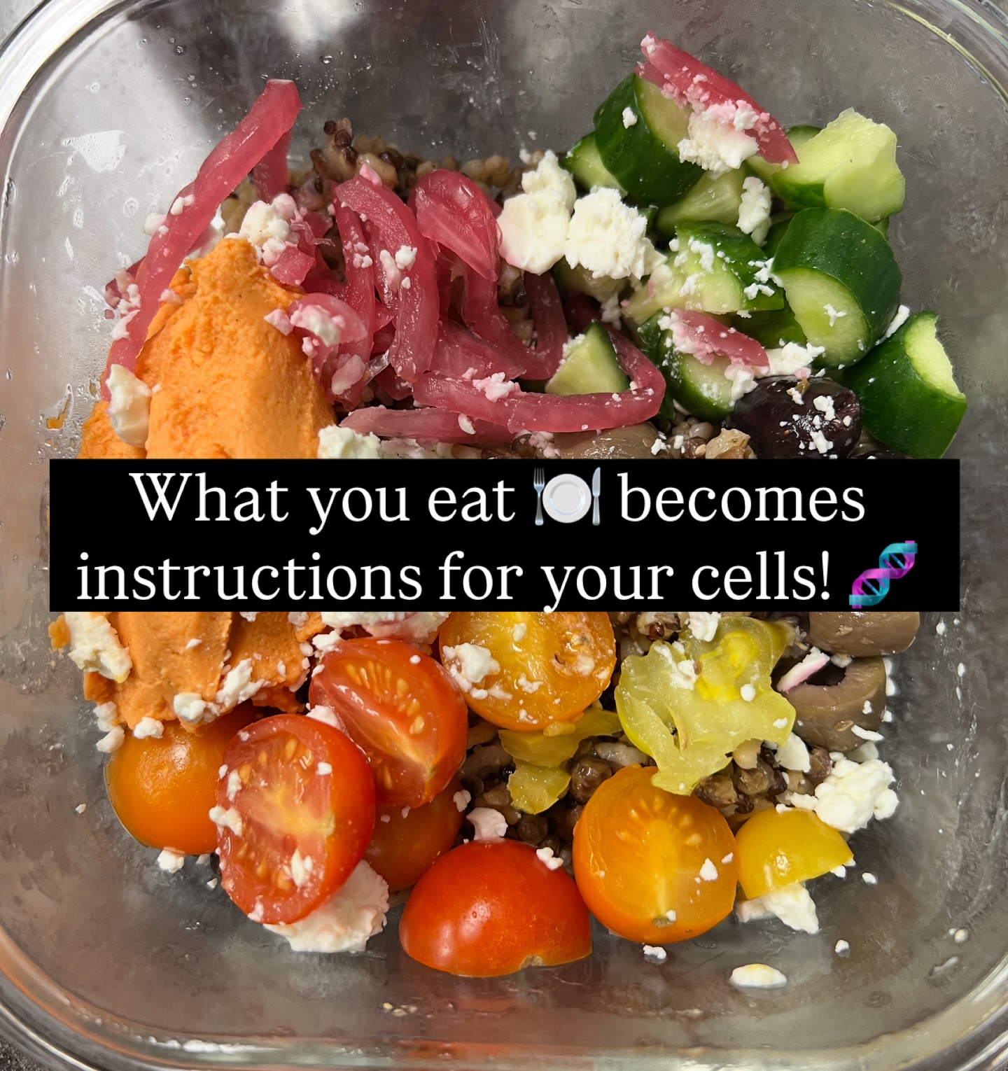 What You Eat Becomes Instructions for Your Cells: Why Nutrition Is More Than Fuel — It’s Biological Information